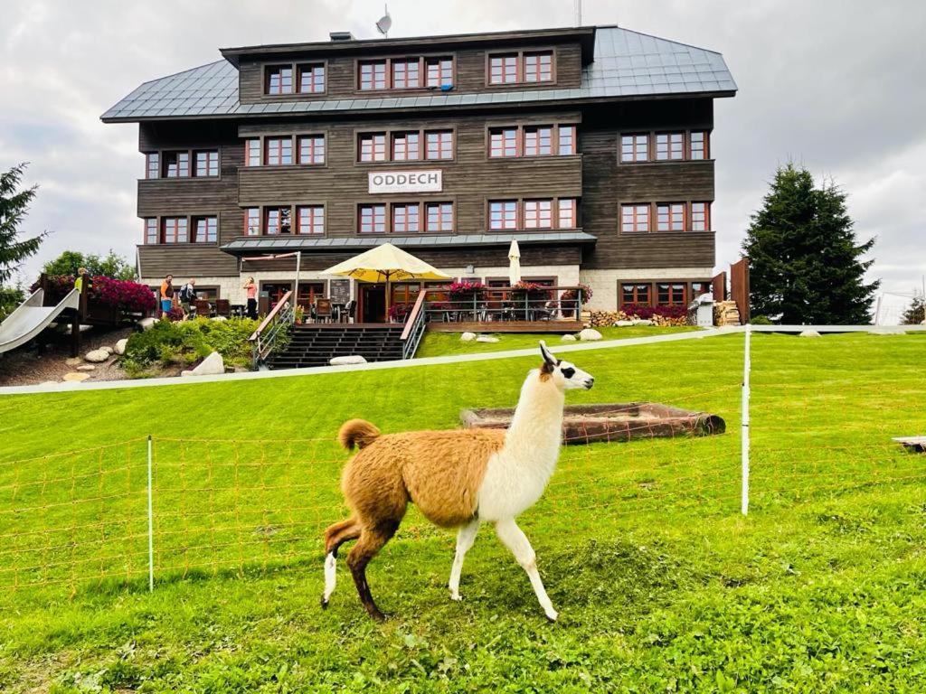 Hotel Oddech Pec pod Snezkou Exterior foto